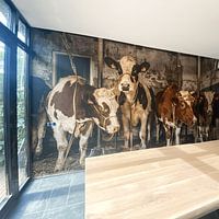 Klantfoto: Koeien in oude koeienstal van Inge Jansen, als behang