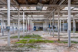 Zu diesem Zeitpunkt von UPHA F