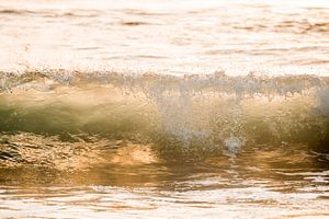 Soleil de mer sur une vague déferlante