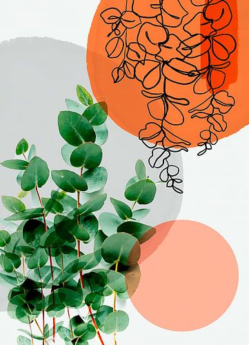 Organic Harmony Simpatico V4