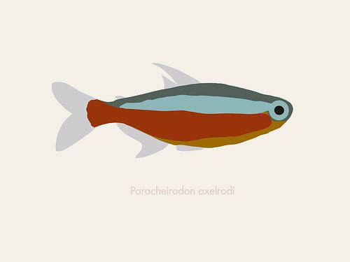 Eine Illustration eines kleinen Fisches
