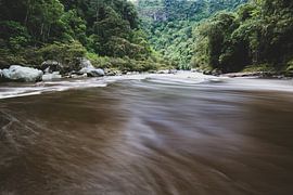 Rio Magdalena und Wälder von Ronne Vinkx
