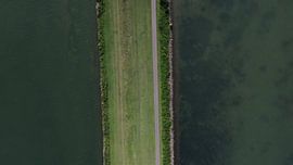 Biesbosch #1 by Marco van Loon