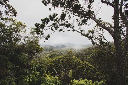 Hawaii