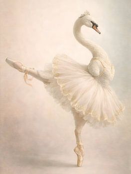 Graceful Swan Ballerina
