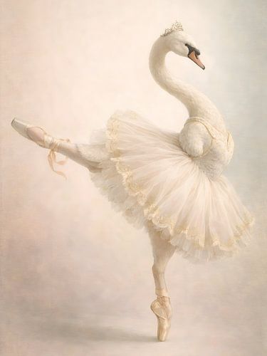 Graceful Swan Ballerina