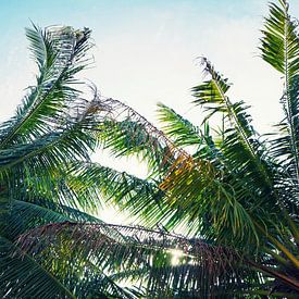 Palmbomen in Thailand van Studio Voorpret