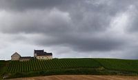 Apostelhoeve in de wolken - landschap