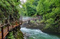 Vintgar Kloof in Slovenië van Melvin Fotografie thumbnail