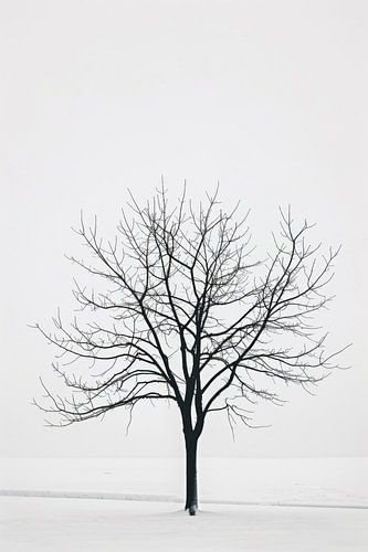 Alleenstaande boom in een winterdroom