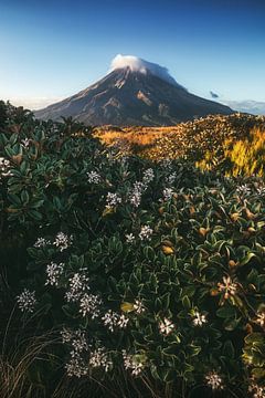 Nieuw-Zeeland Mount Taranaki van Jean Claude Castor