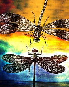 Dragonfly meets a Friend van Pia Schneider