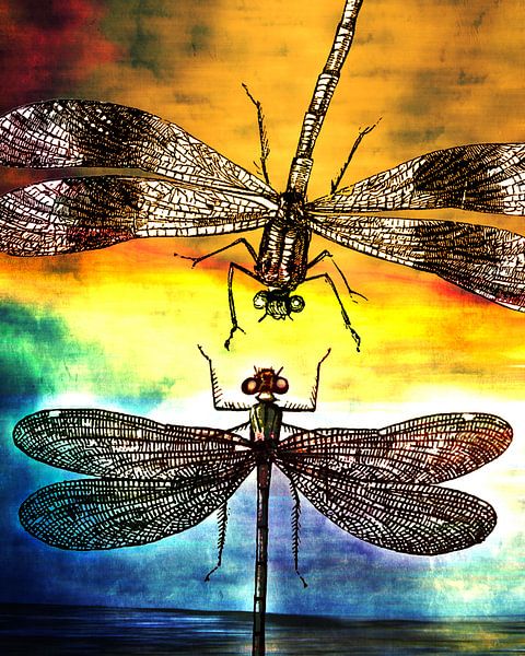 Dragonfly meets a Friend van Pia Schneider