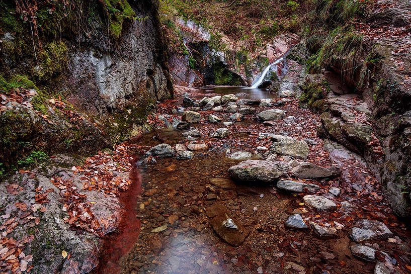 Ninglinspo by Rob Boon