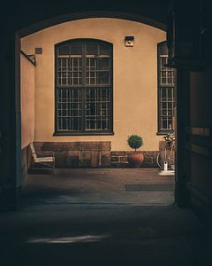 La cour - Nature morte urbaine