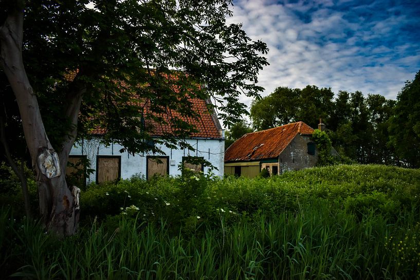 Ollie B Bommel Boerderij van Marissa van Gils