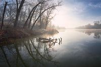In the dawn captivity
