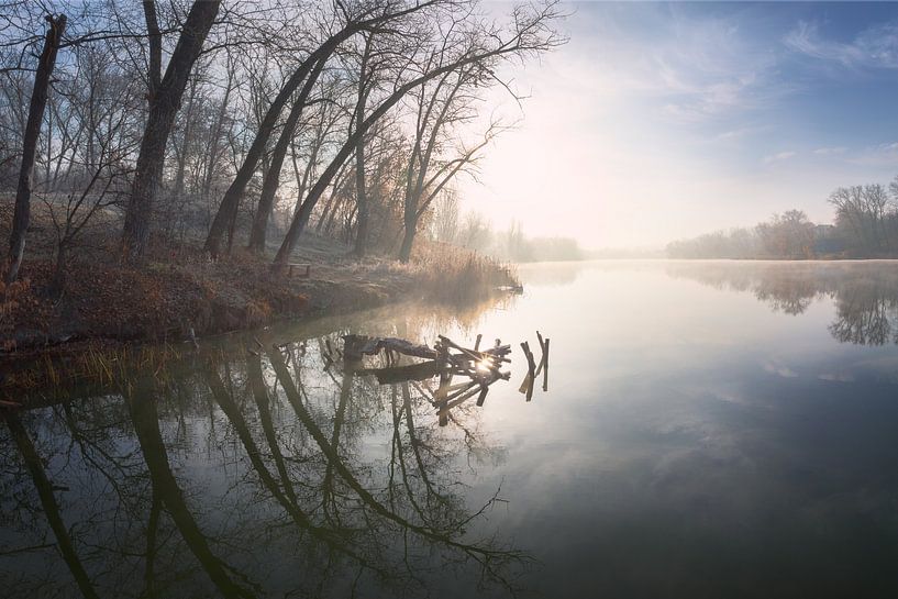 In the dawn captivity by Stanislav Salamanov