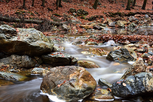 Ein Wasserlauf entlang von Felsblöcken