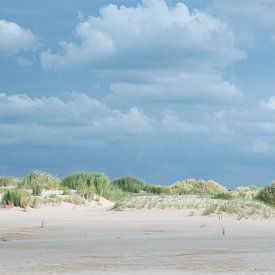 Dunes - Texel by Joop Bruurs