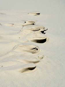 Sculptures de sable
