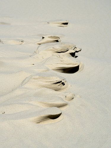 Sand-Skulpturen von Greetje van Son