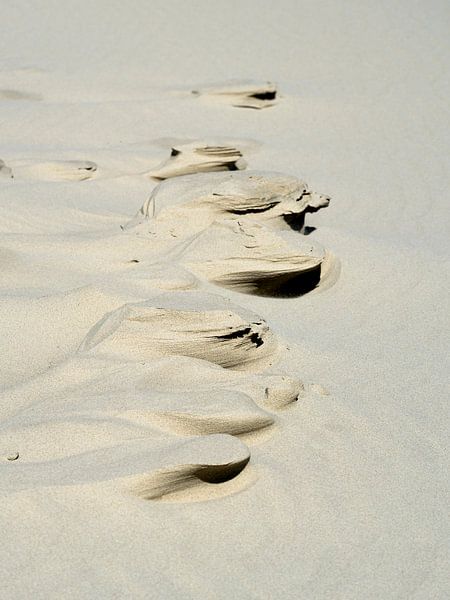 Sand-Skulpturen von Greetje van Son