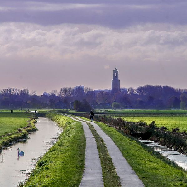 Naar huis! by Robin Pulles