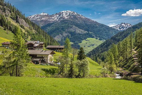 Historic mountain farms in Kalkstein in the Villgratental valley
