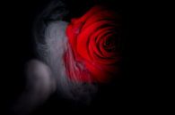 Rote Rose umgeben von Rauch. von Benjamin Admiraal Miniaturansicht