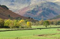 Mooie vallei in de Lake District, Engeland van Jos Pannekoek thumbnail