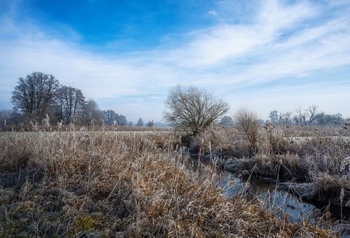 Idyllisch winterlandschap bij de rivier de Paar