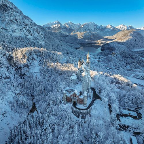Winterdroom bij kasteel Neuschwanstein van Markus Lange