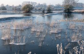 Meinerswijk part 78 by Tania Perneel