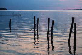 lumière du soir sur l'eau de l'île danoise de Falster