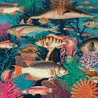 Counting Fish