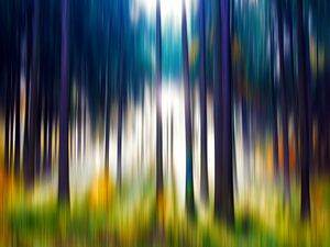 Colorful autumn forest von Gabi Hampe