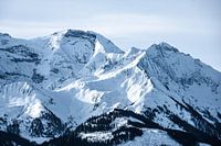 Paysage de montagne en hiver