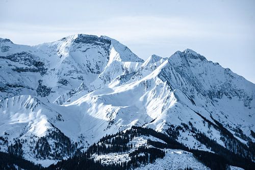 Berglandschap in de winter