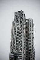 The Beekman