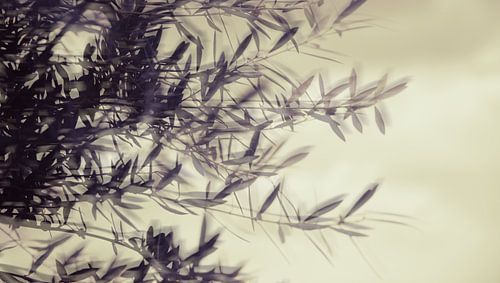 Déplacement des feuilles