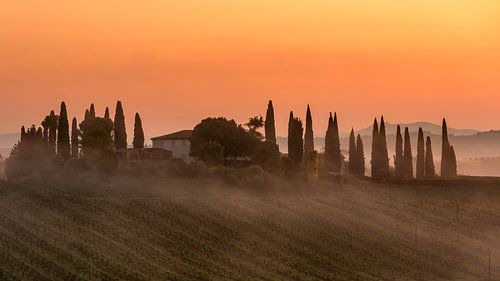 Zwischen Nebel und Morgenlicht - Toskana von Teun Ruijters