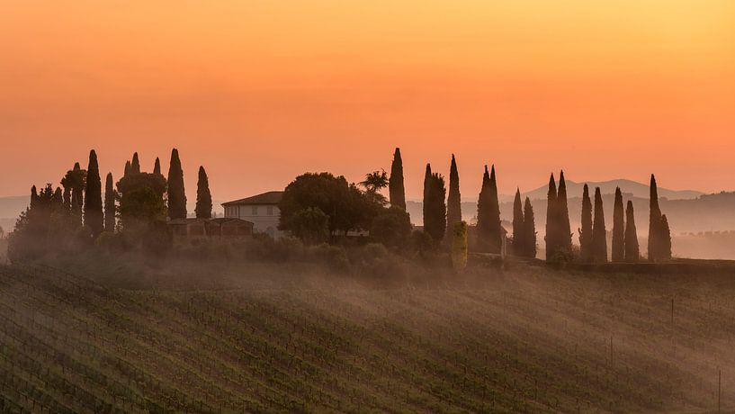 Between Mist and Morning Light - Tuscany by Teun Ruijters