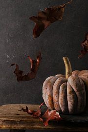Autumn pumpkin by simone swart