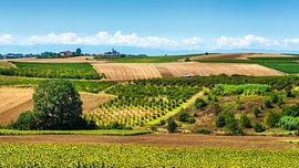 Les champs en mosaïque du Monferrato et le village de Grana