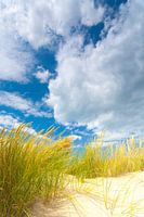 Dune landscape on the coast with sun and a beautiful cloud sky