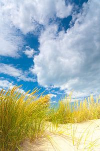 Dünenlandschaft an der Küste mit Sonne und einem schönen Wolkenhimmel