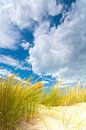 Dune landscape on the coast with sun and a beautiful cloud sky by Bas Meelker thumbnail