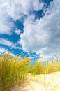 Dünenlandschaft an der Küste mit Sonne und einem schönen Wolkenhimmel von Bas Meelker Miniaturansicht