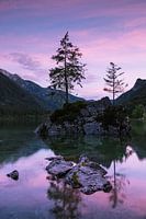 Roze zonsondergang, Hintersee Duitsland